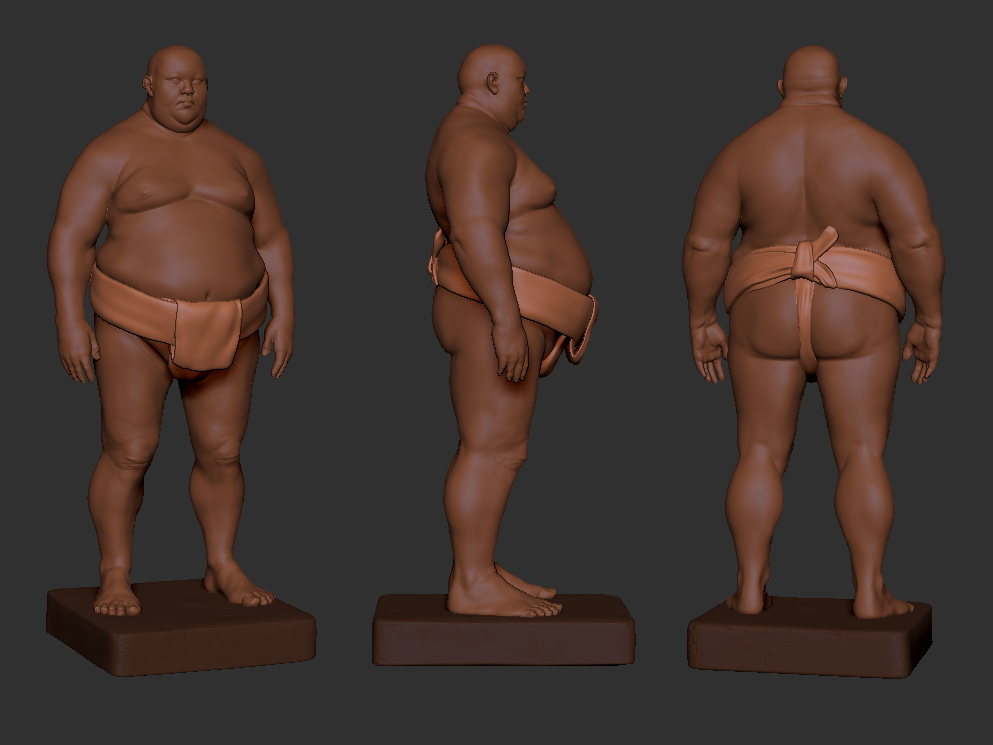 sumo_final.jpg
