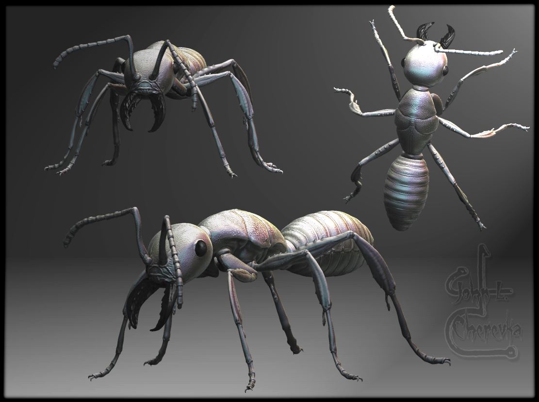 ant2.jpg
