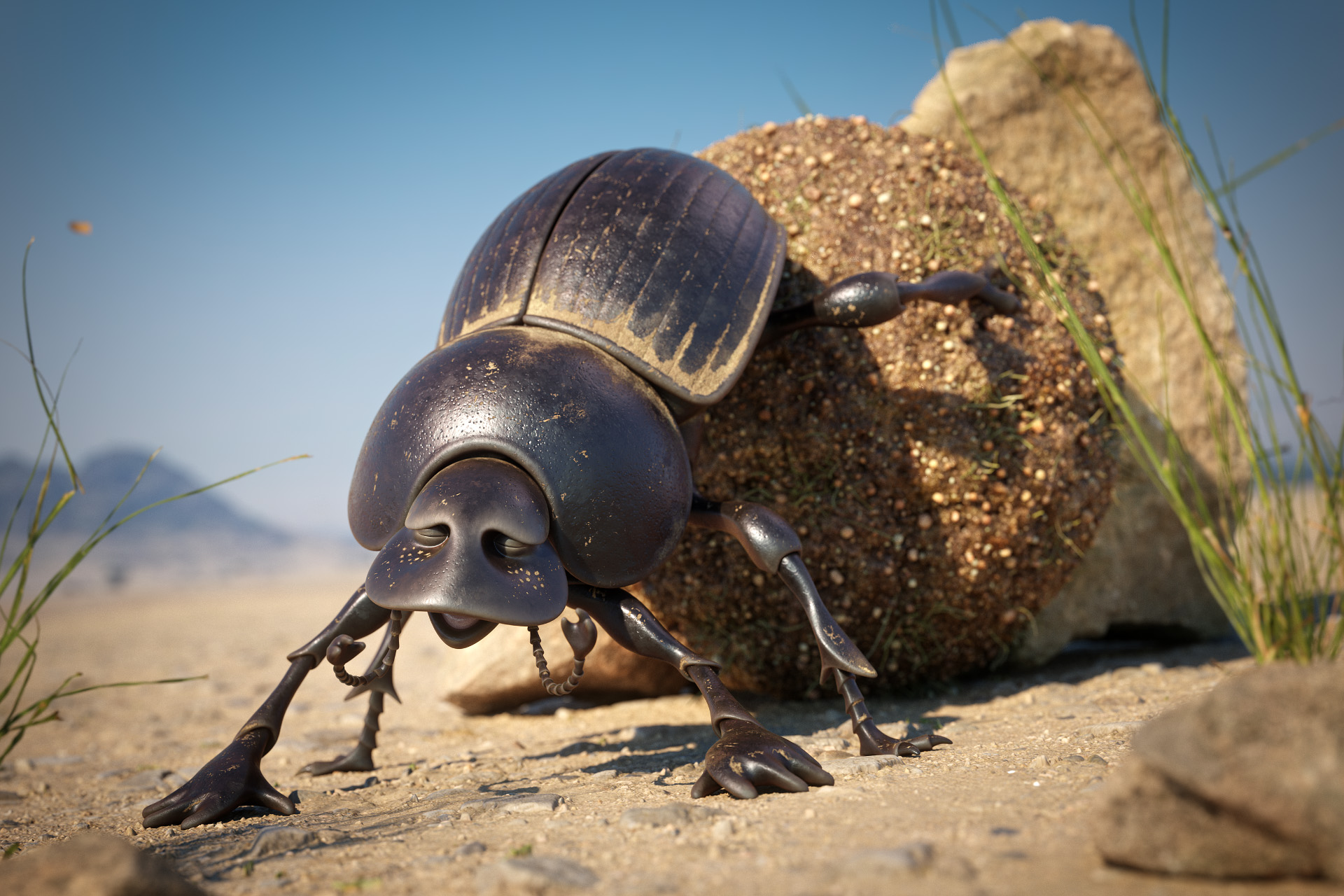 dung_beetle_motiv_03_1920px.jpg