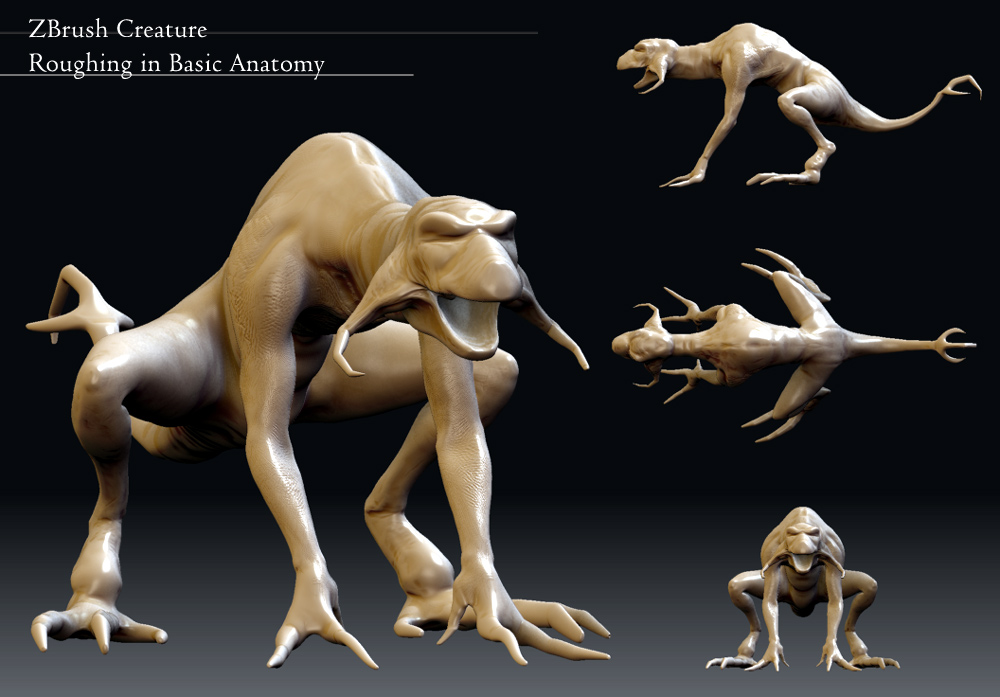 anatomy-rough-in.jpg