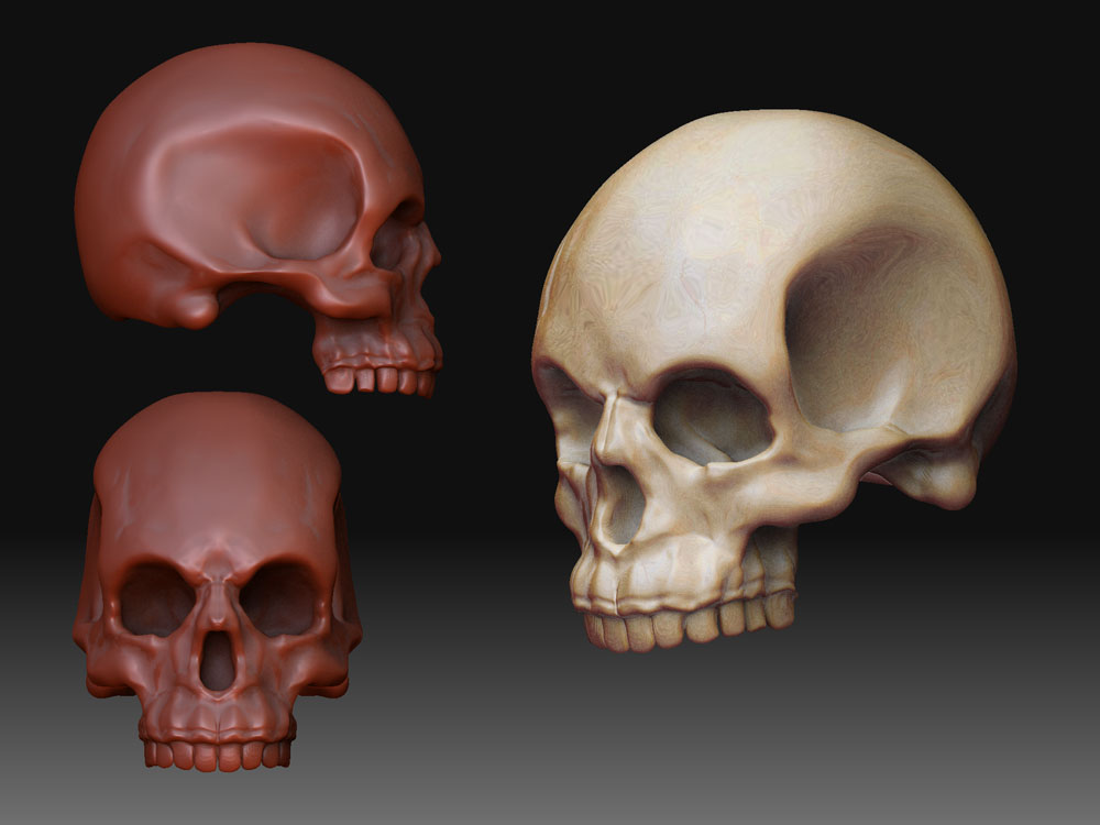 wip_skull2_3.jpg