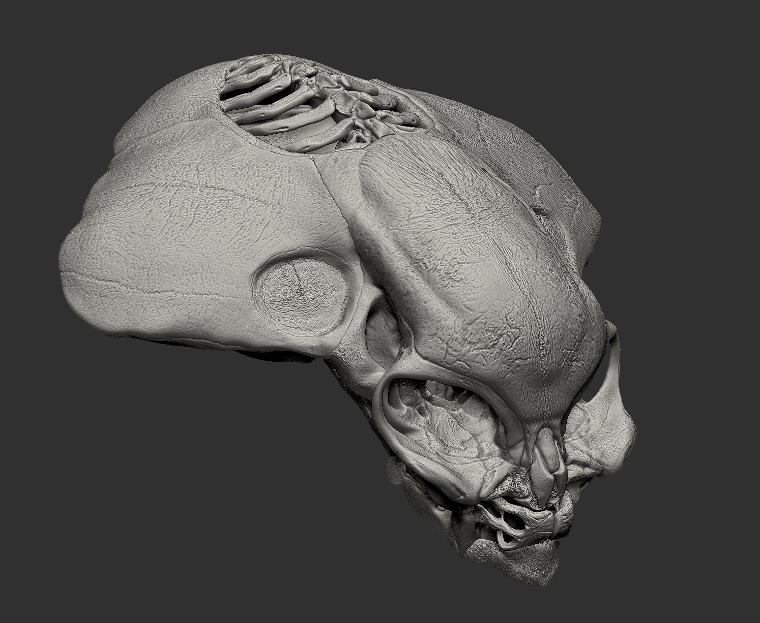 AlienSkull_3QtrLftView_DP.jpg