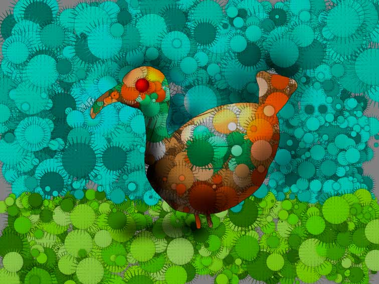 bird.jpg