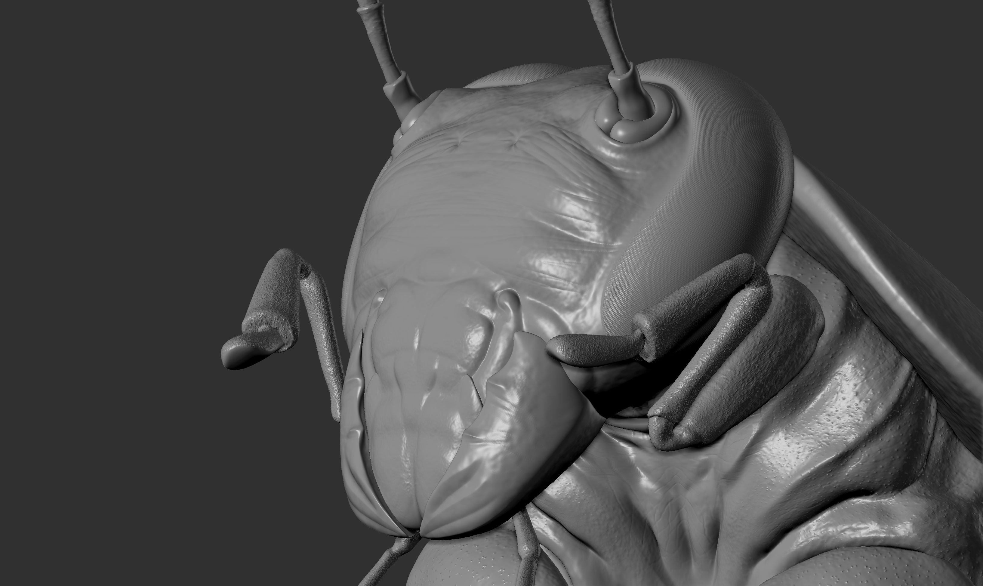 Cockroach-sculpture-02.jpg