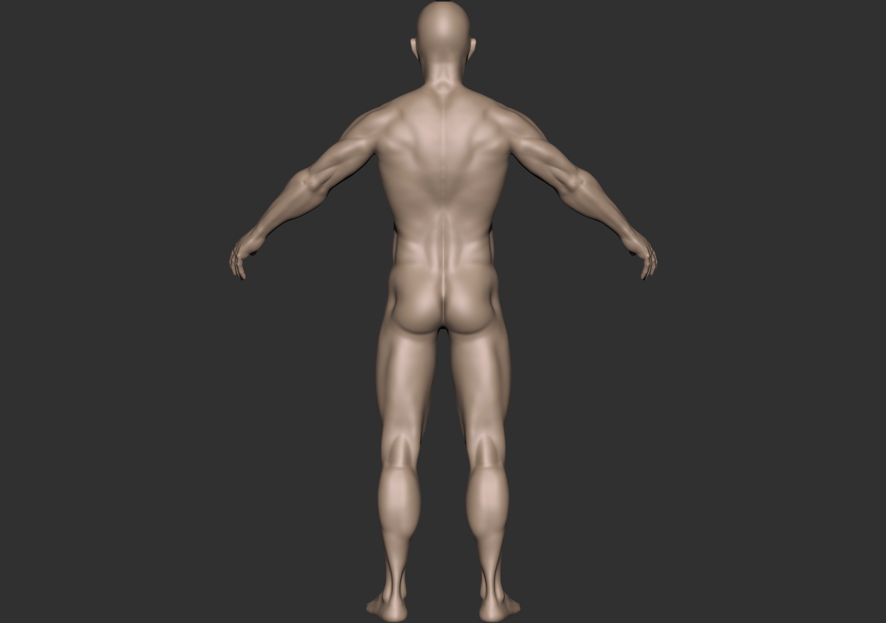 fitdude_back.jpg