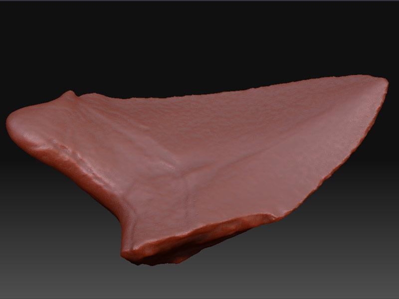 OrigionalMesh.jpg