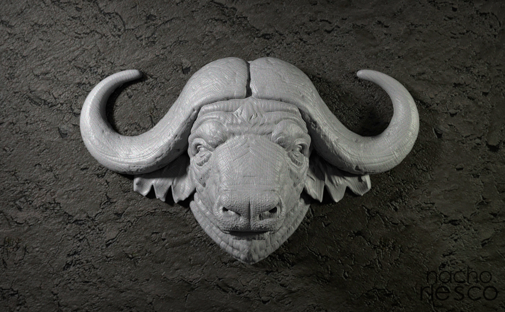 bufalo_500k.jpg