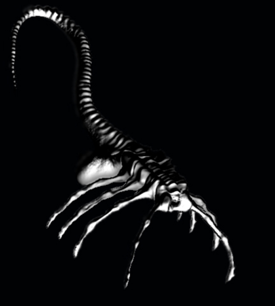 Copia di Face Hugger L1.jpg