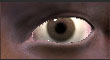 thumbnaileyes.jpg