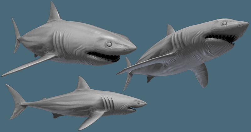 sharkz.jpg