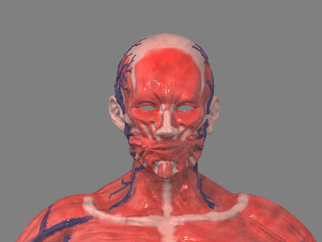headupdate.jpg