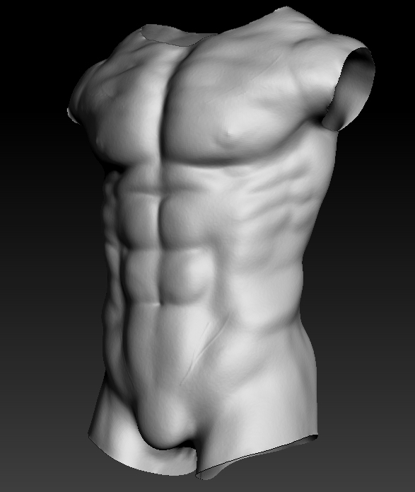 Torso.jpg