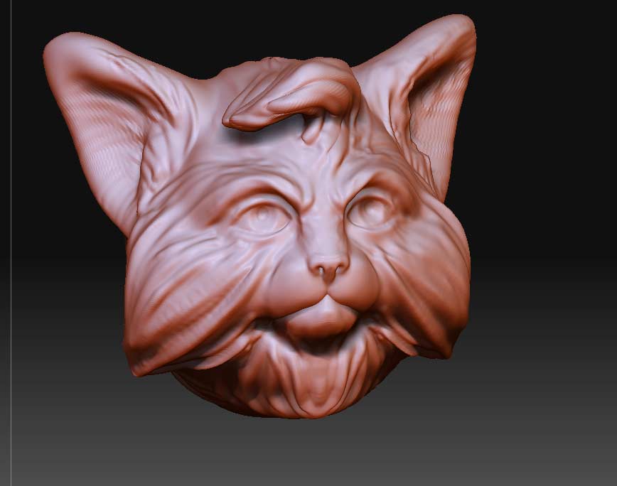 kitty.jpg