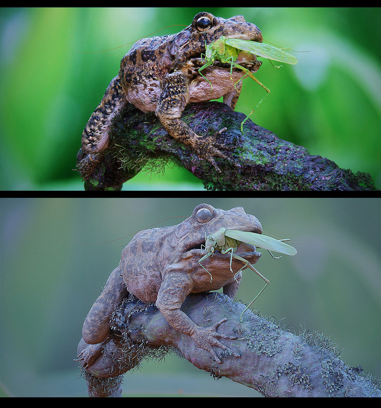 antonio-peres-frog-by-peres.jpg