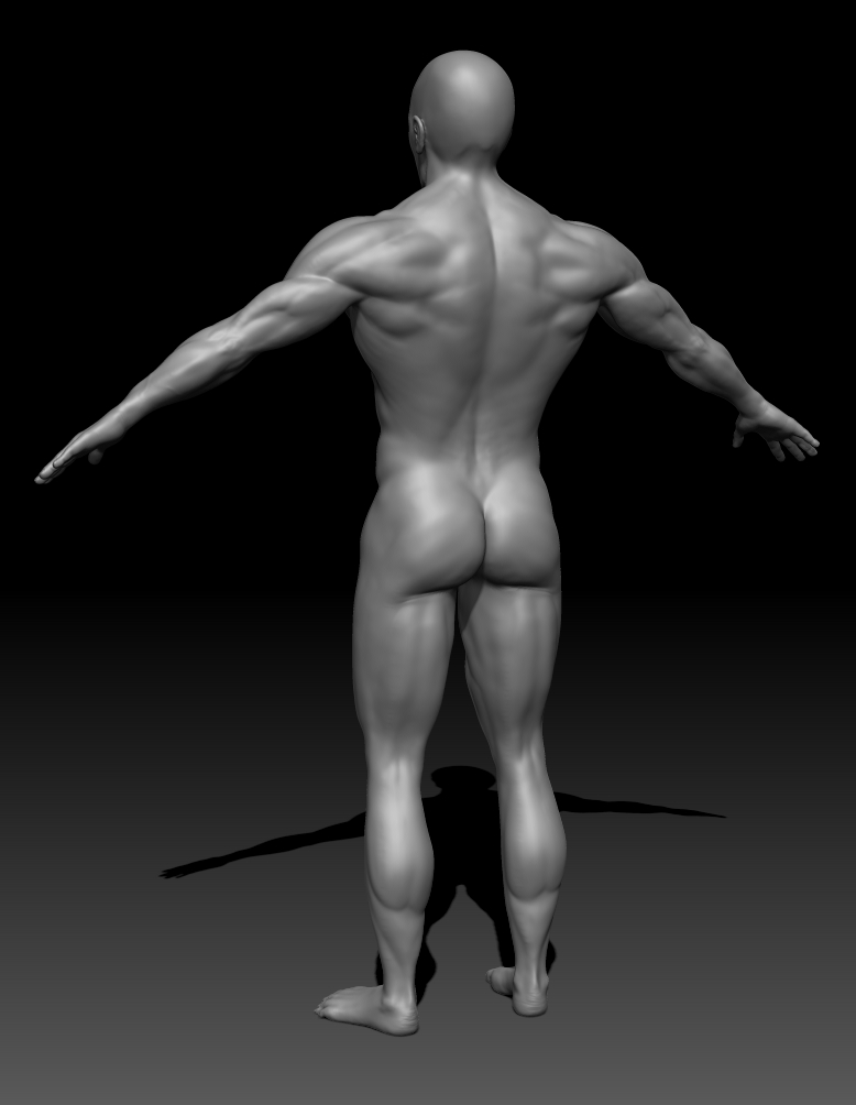back.jpg