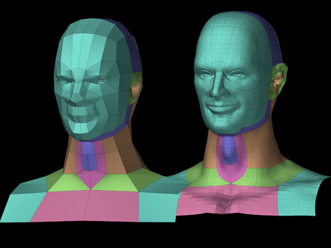 head zbc.jpg