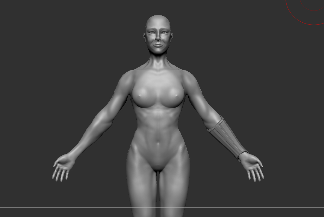 Anatomy1.jpg
