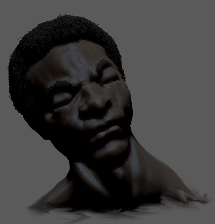 BOXERS BUST 4 copy.jpg