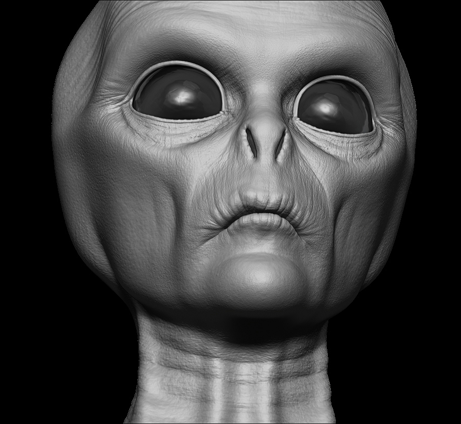 ZBrush_View_04.jpg