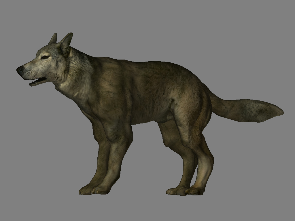 wolf_texture.jpg