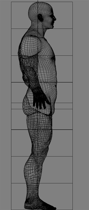proportions.jpg