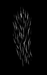 neck stipple 2.jpg