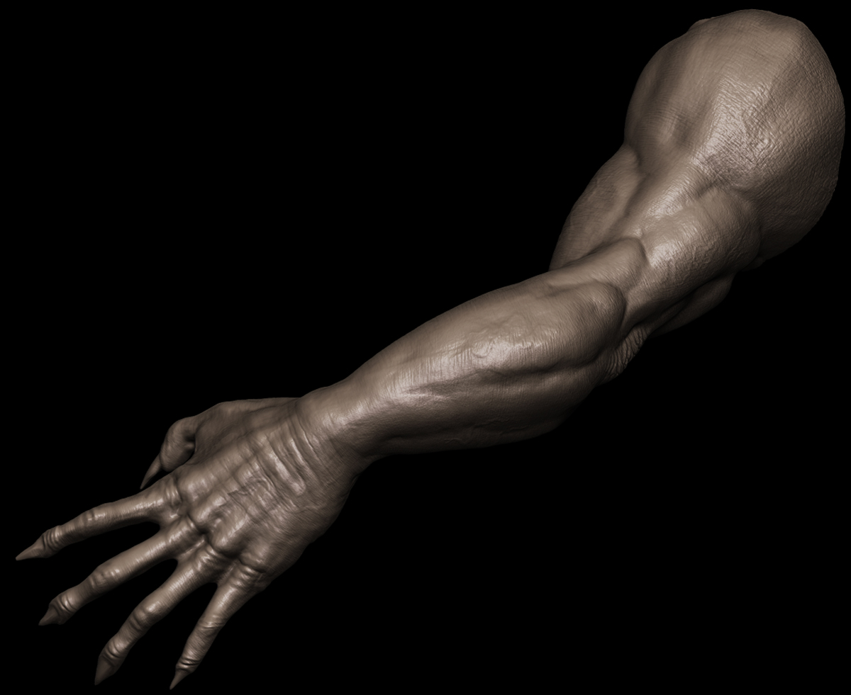 arms2.jpg