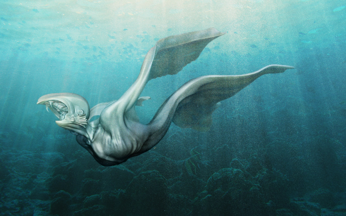 seacreature.jpg