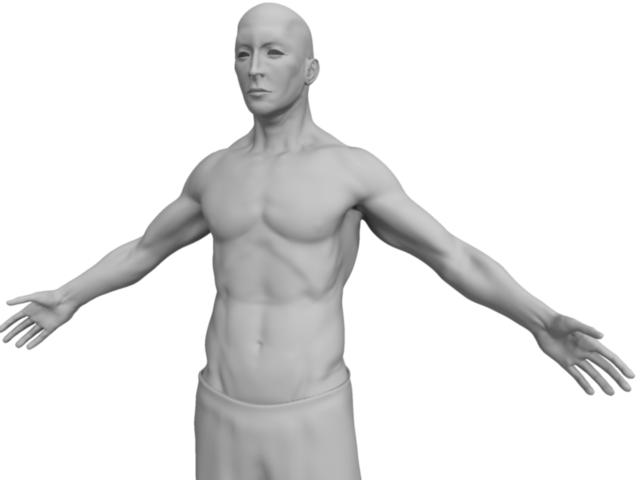 upperBody.jpg