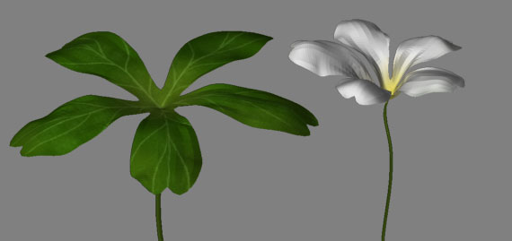 Plants.jpg