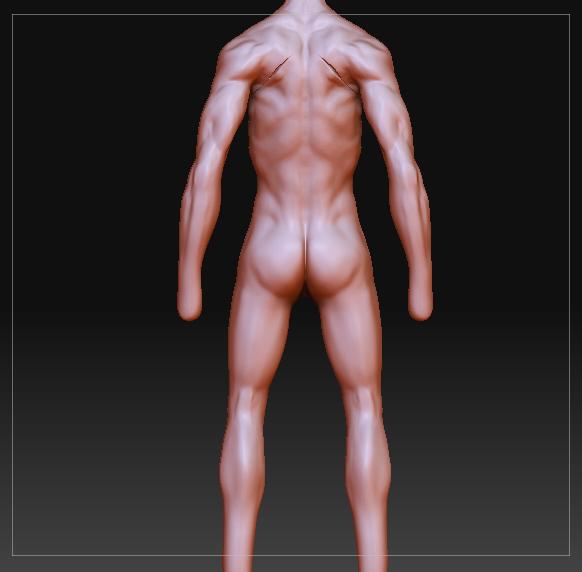 character body 1.jpg