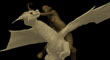 DRAGON WOMAN 5.jpg