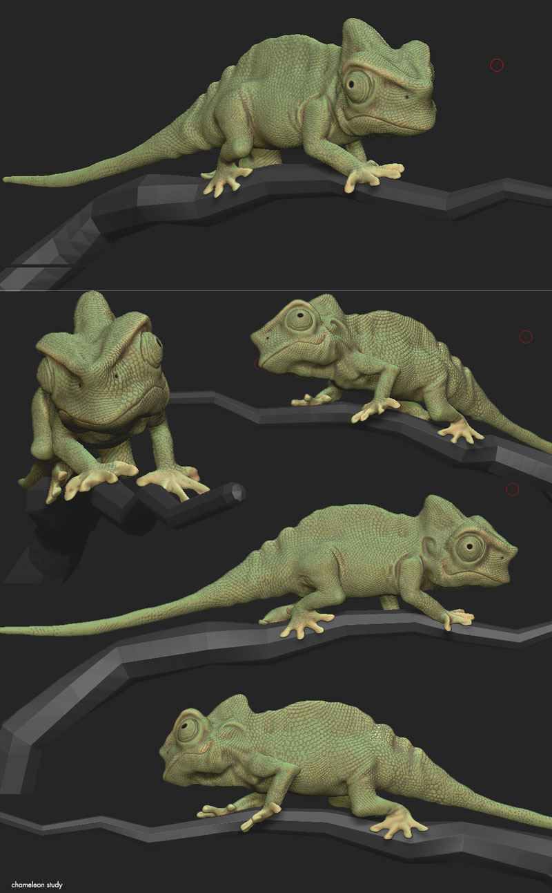chameleon_JC.jpg