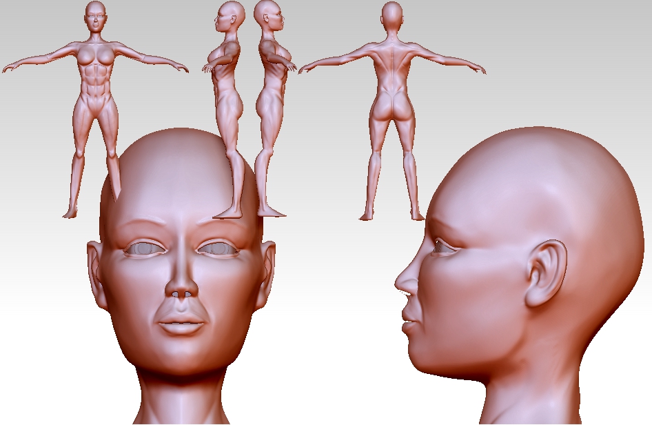 FEMALE ANATOMY retry25.jpg