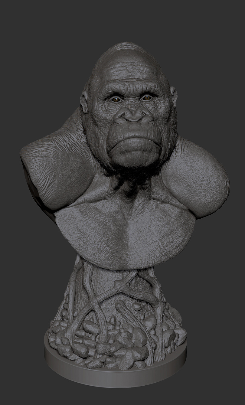 ape 003.jpg