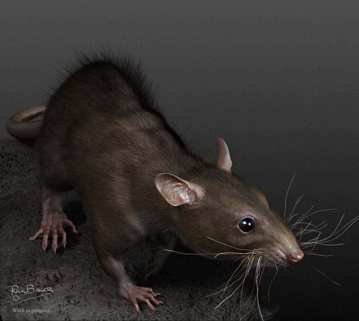 RatSatnoon.jpg