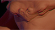 TZ.jpg