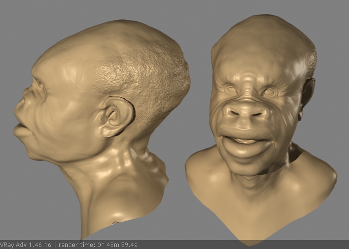 head45