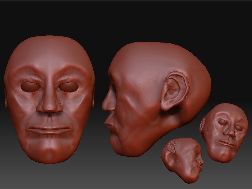 Head.jpg