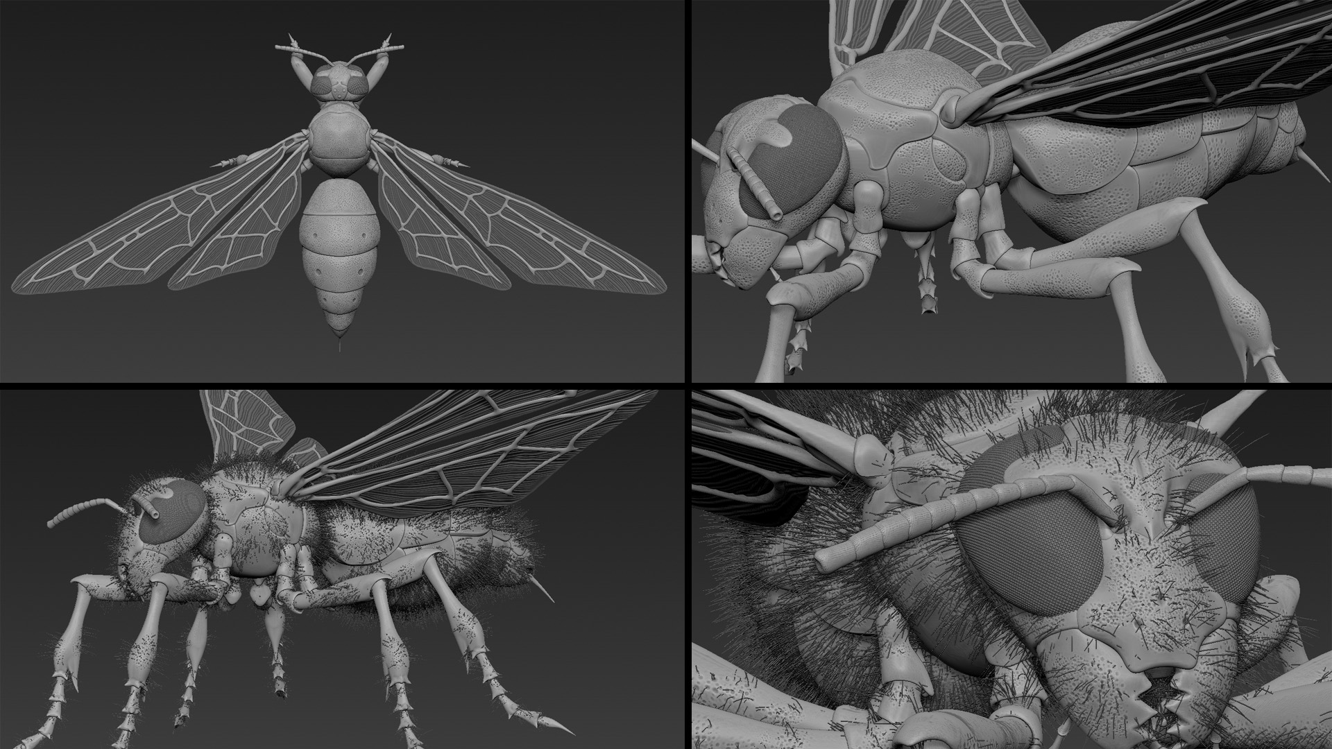 2016_Wasp_A01_model.jpg