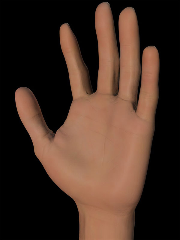 main16_800.jpg