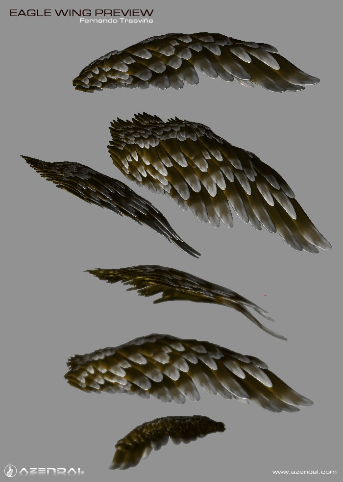 eagle_wings.jpg