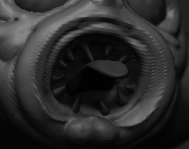 thumbbb.jpg