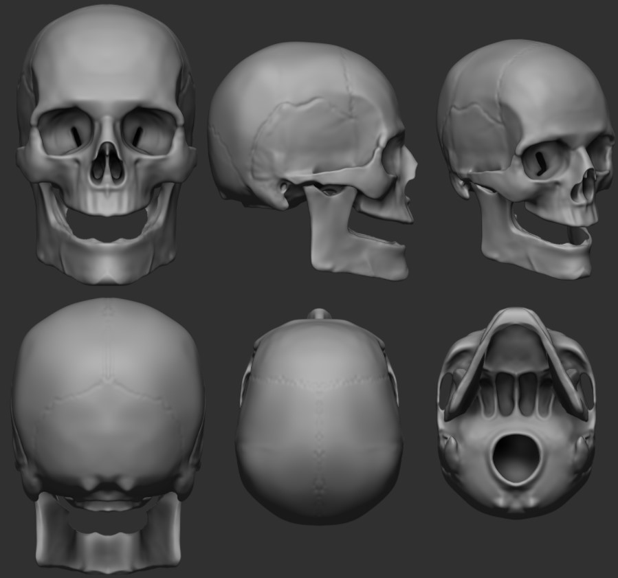 SkullWIP.jpg