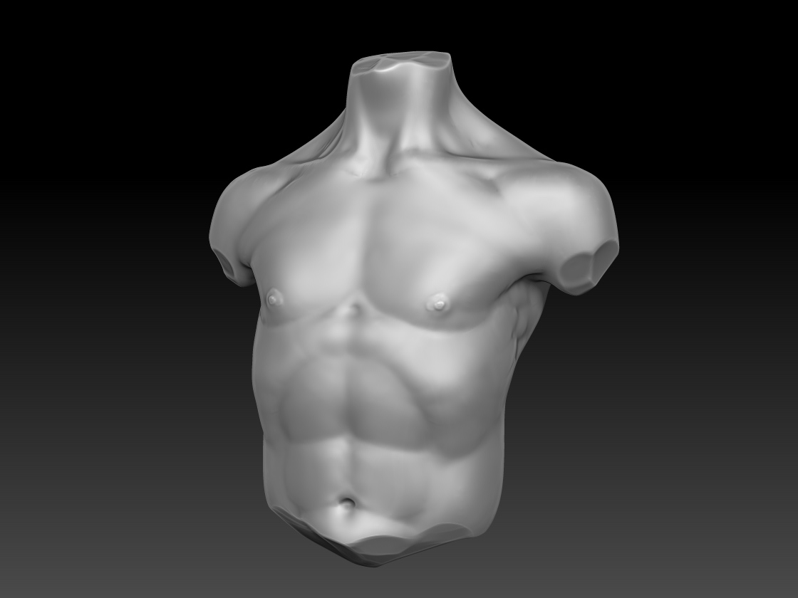 humanTorso.jpg