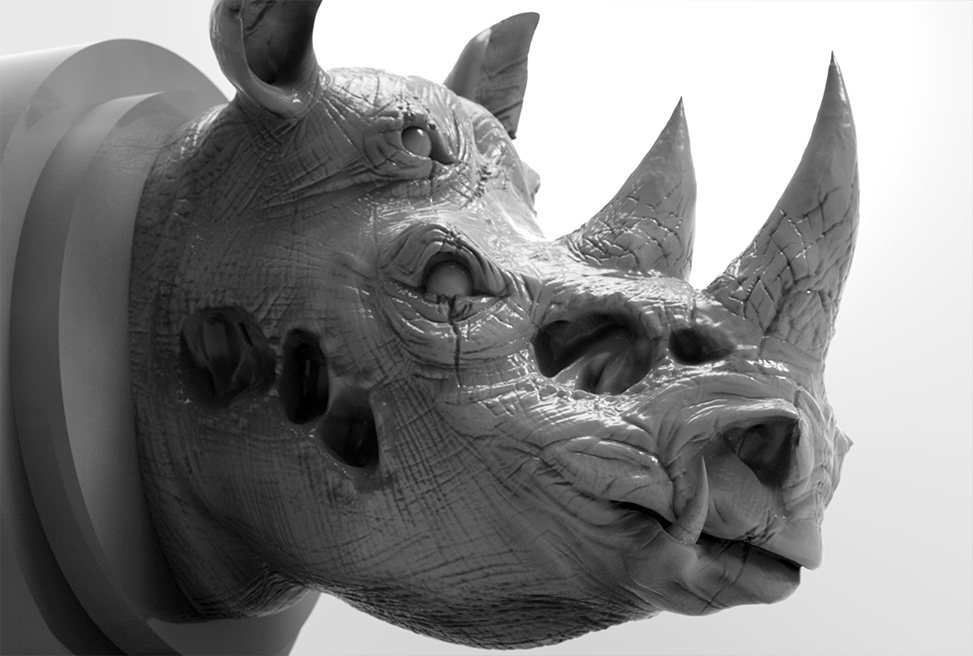 SCARYRHINO_SIDESHOT_smaller.jpg