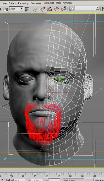 face_max8_wire.jpg