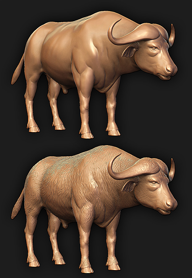 cape-buffalo_3d-model_zbr-sculpt01.jpg