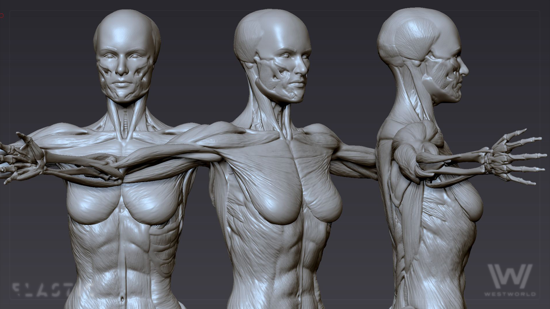 ww2_zbrush_vitruvian_03.jpg