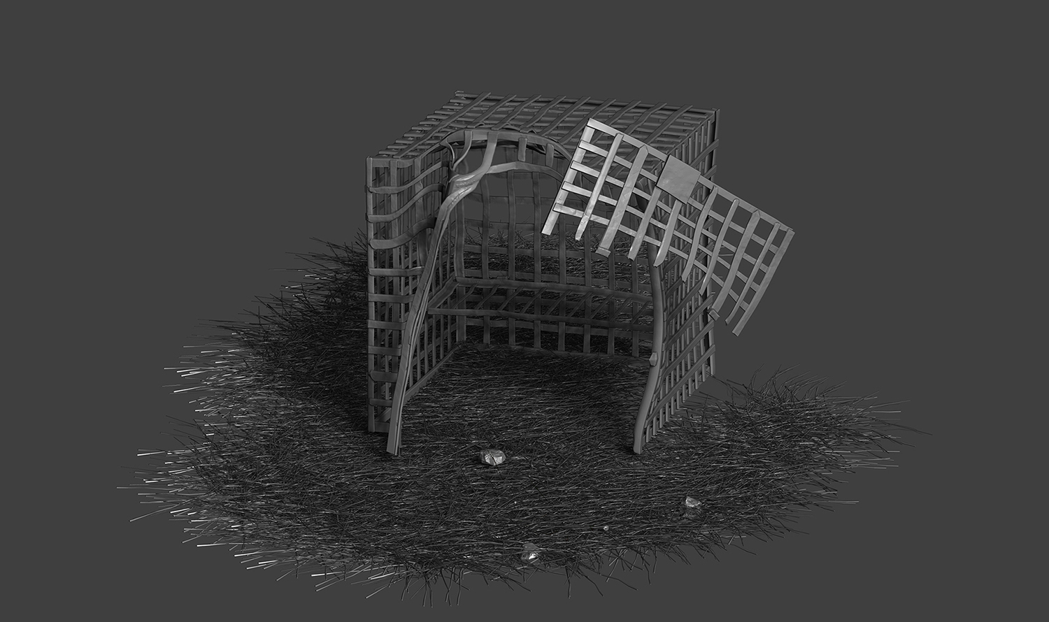 Z14.jpg